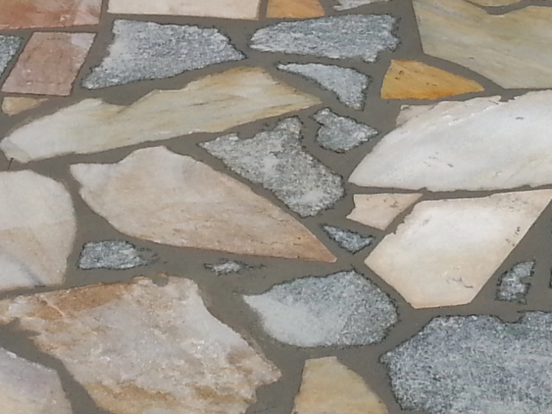 arenaria-dettaglio